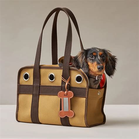 hermes dog bag